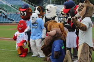 mascots