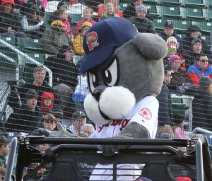 Slugger has spent the season riding on a jeep instead of working on his base running.
