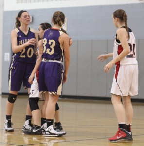 Denial defense on Karlee Krchnavi