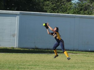 tough chance in left field