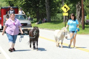 hp-A21-girls-with-ponies