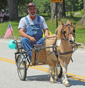 hp-A23-man-pony-cart